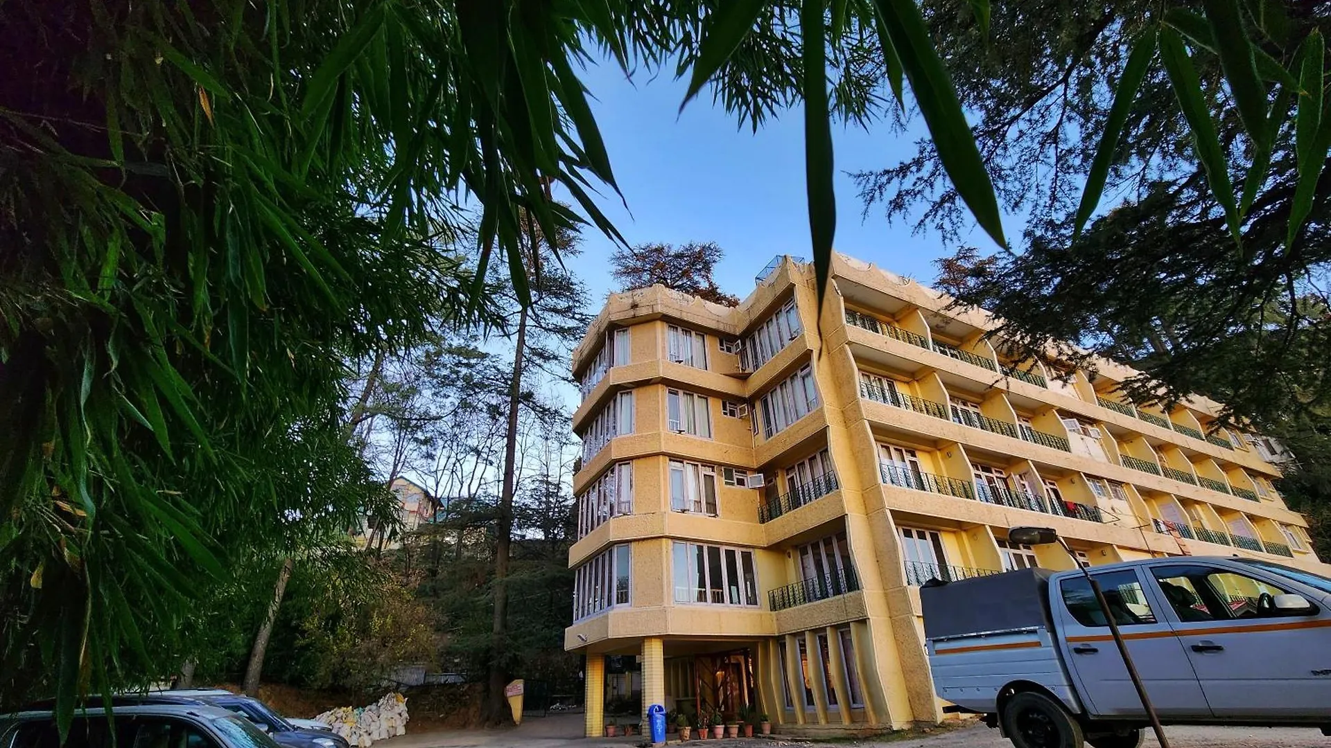 Hotel Pineview Shimla
