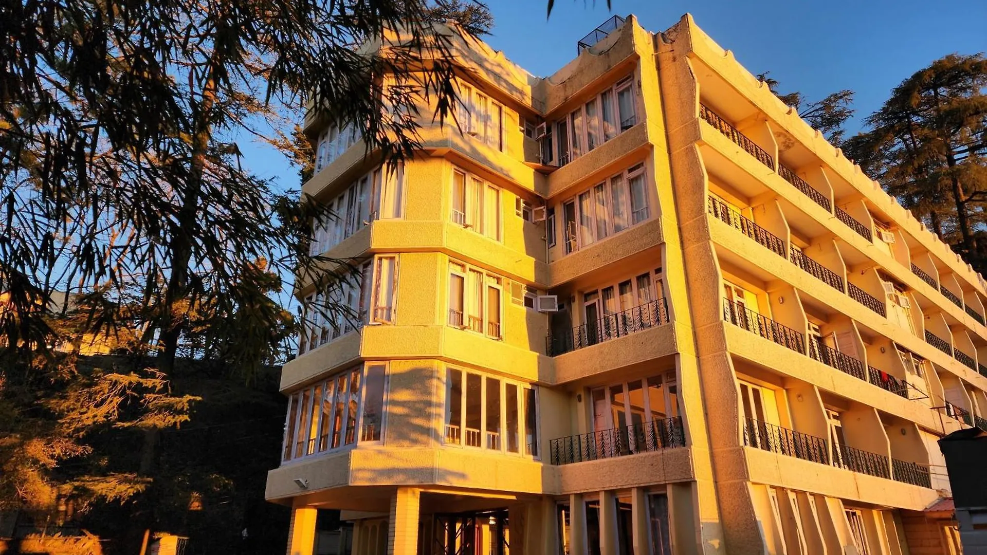 Hotel Pineview Shimla India
