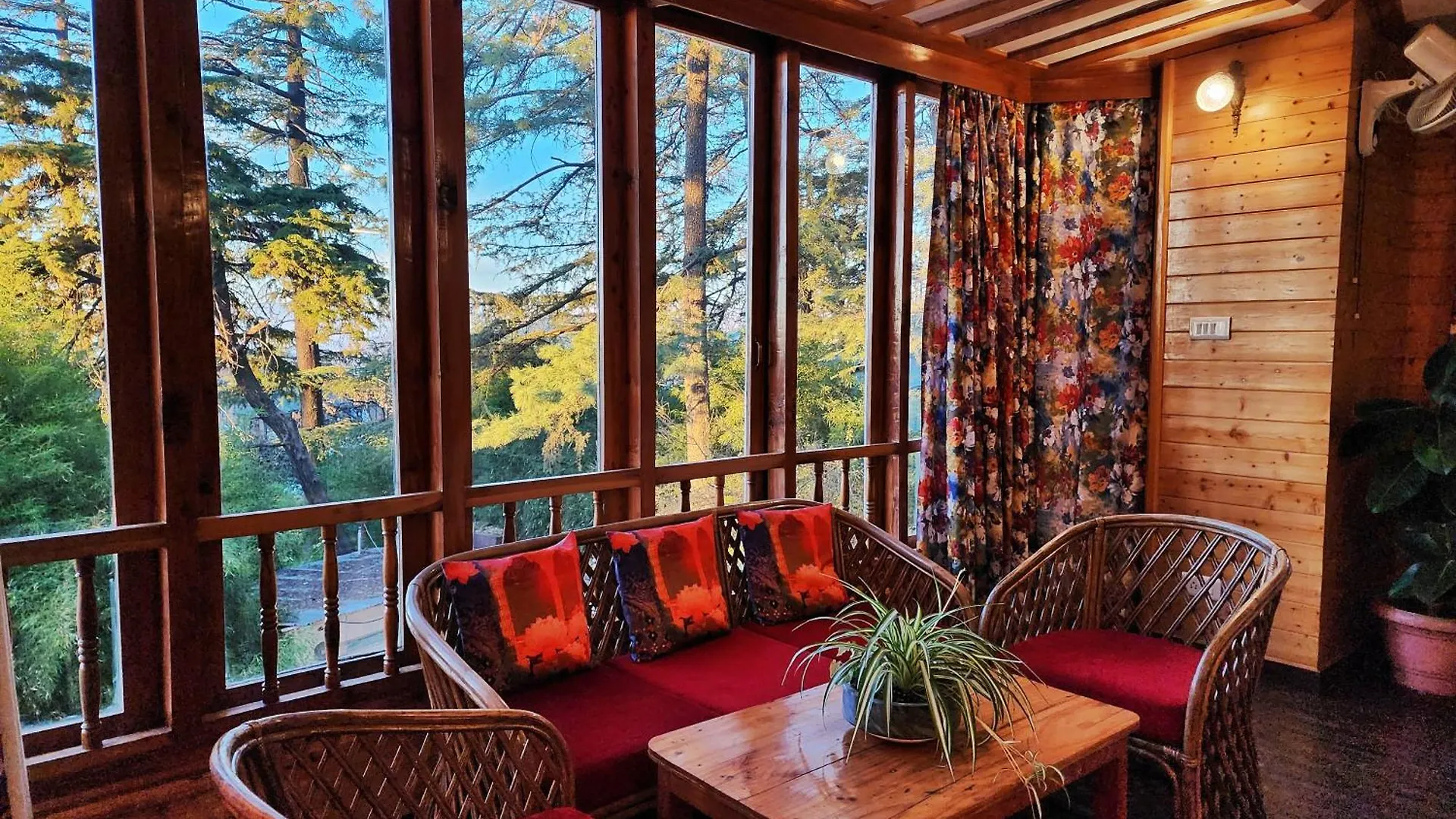 ***  Hotel Pineview Shimla India