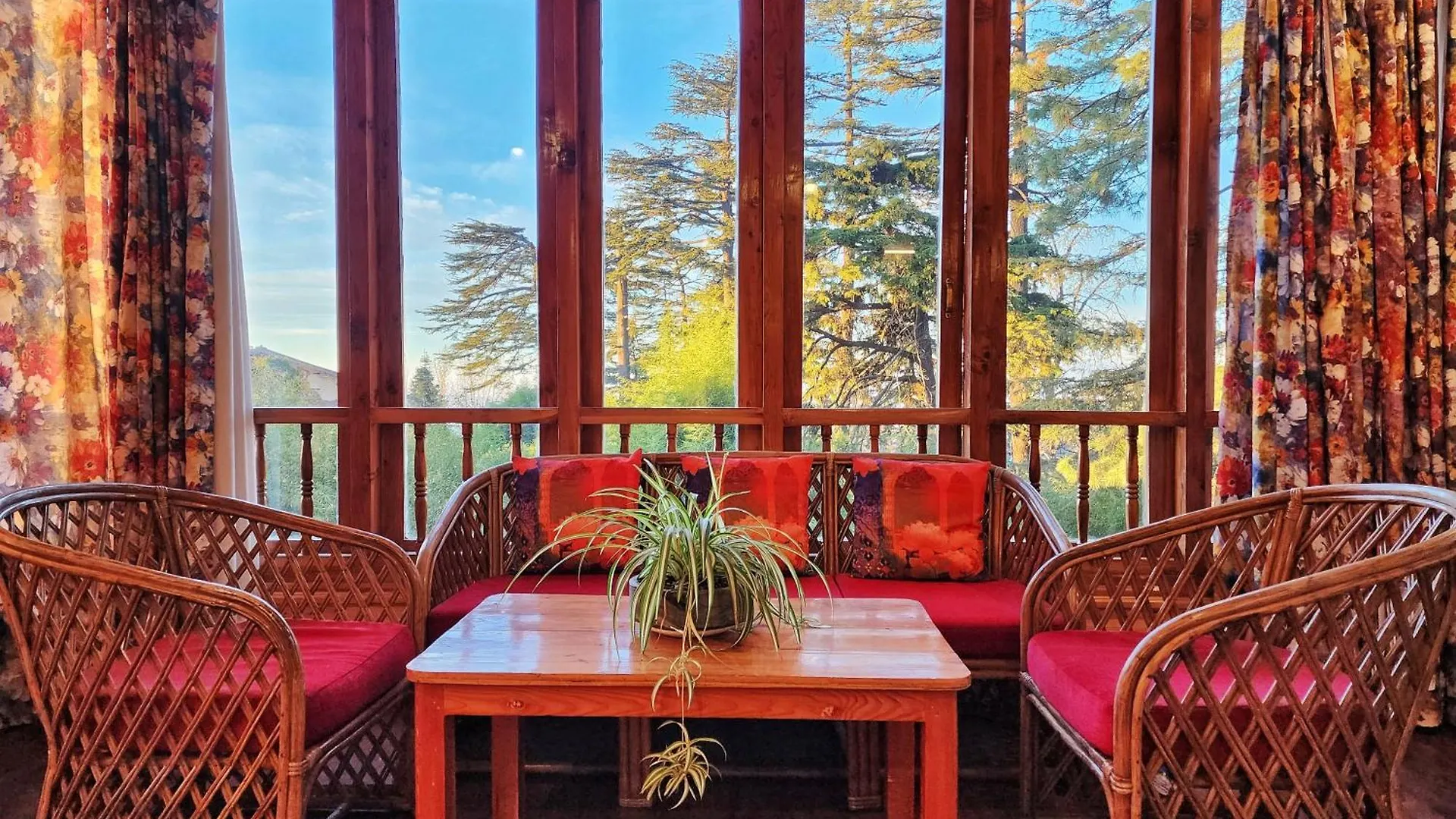 Hotel Pineview Shimla India