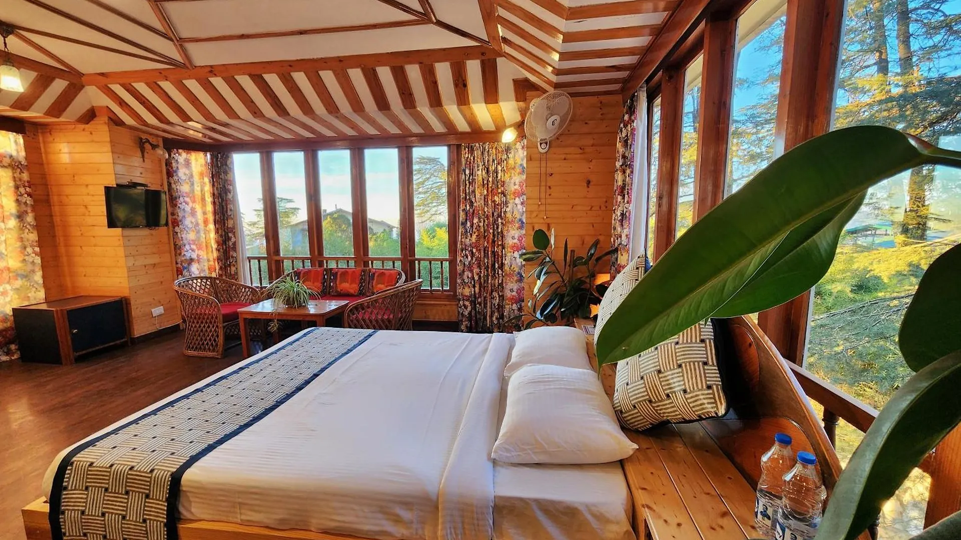 Hotel Pineview Shimla