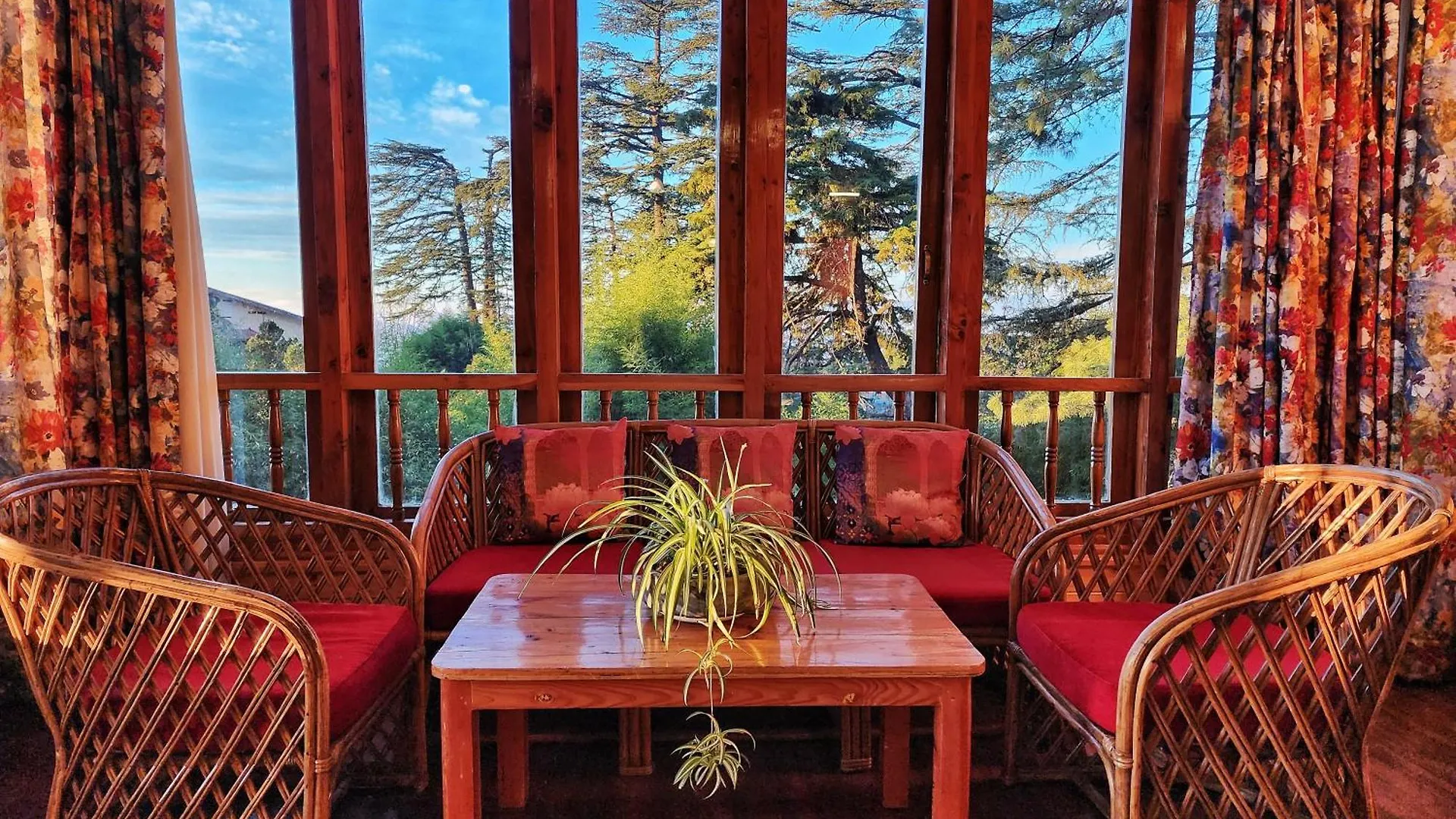 ***  Hotel Pineview Shimla India