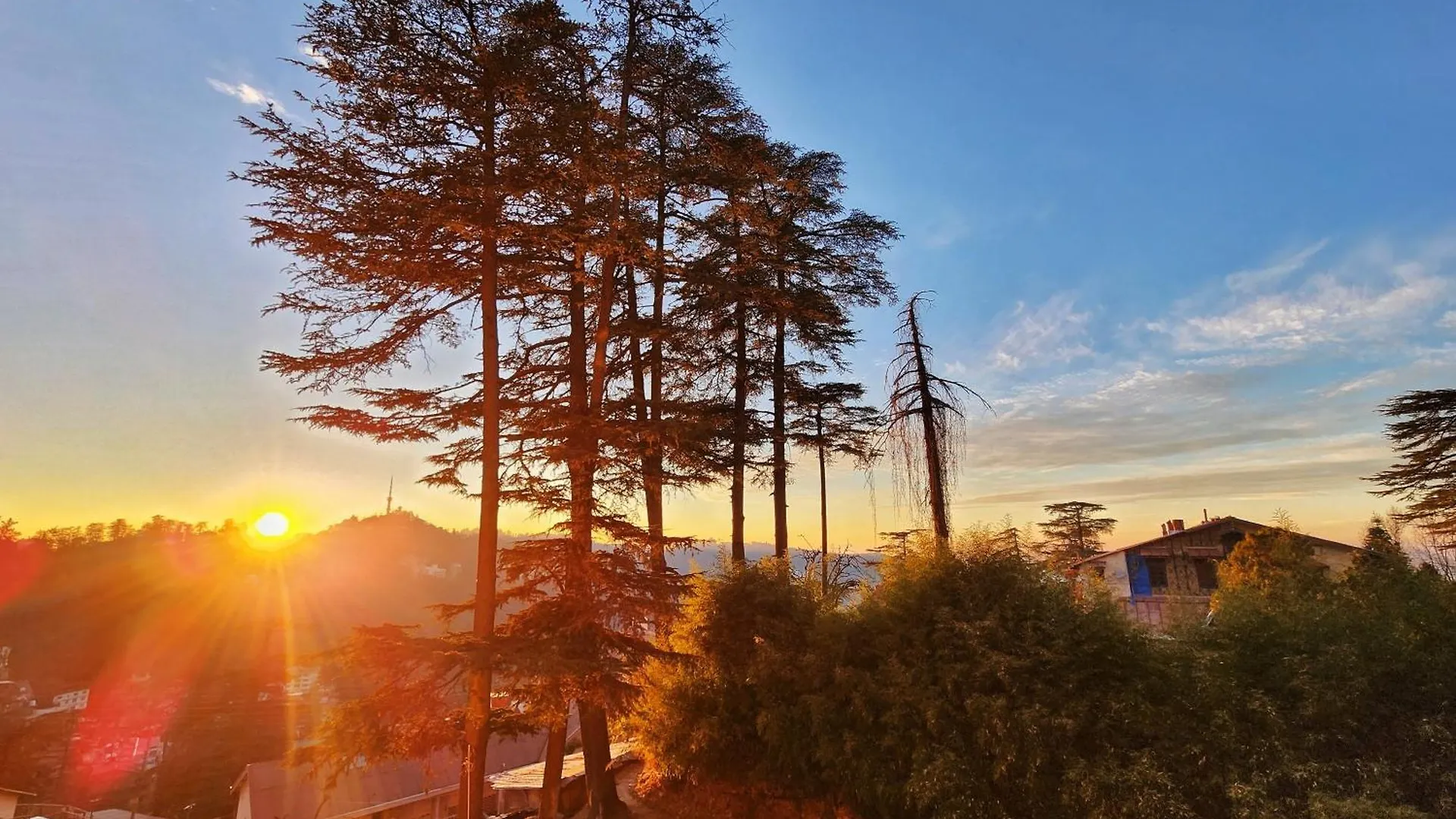 Hotel Pineview Shimla 3*,