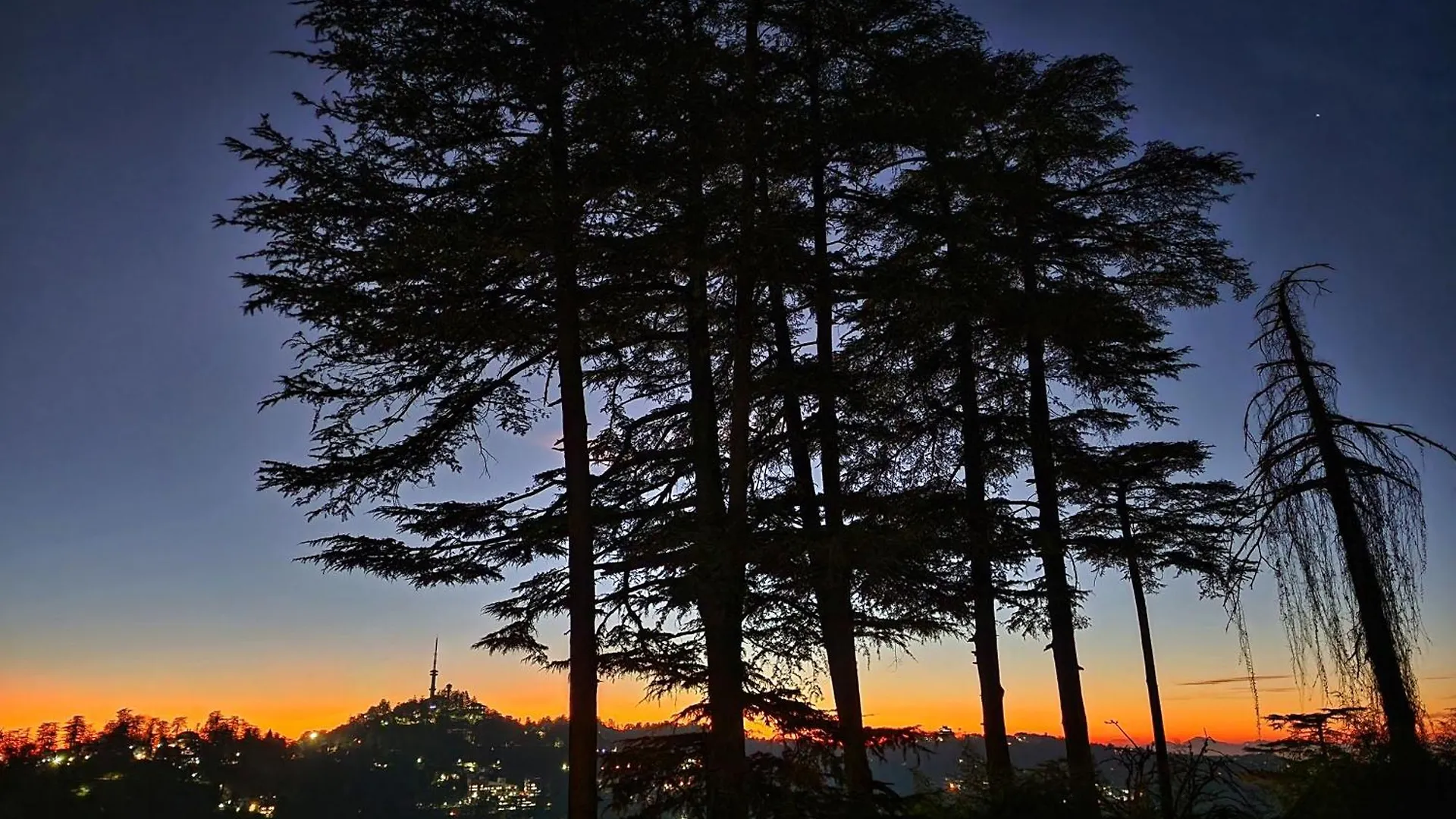 Hotel Pineview Shimla
