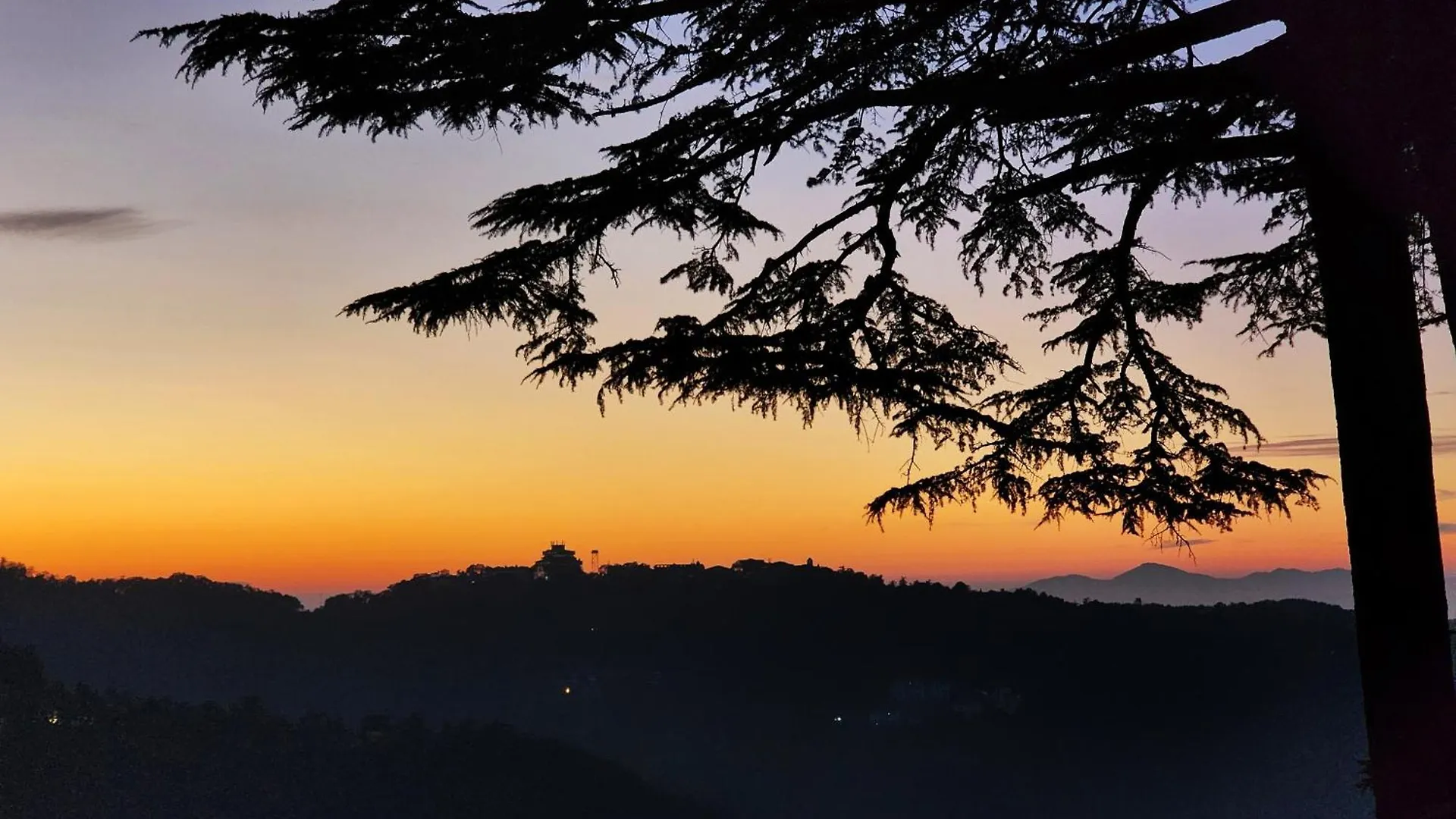 Hotel Pineview Shimla